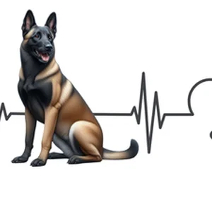 Belgian Malinois Premium Dog Sticker